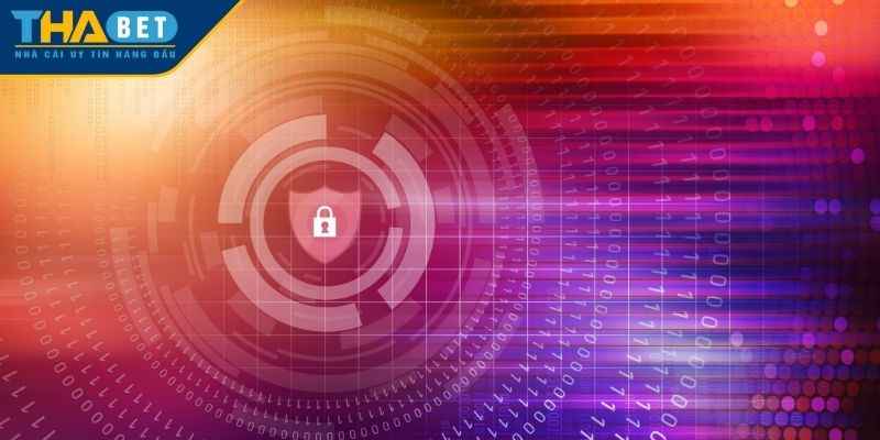Thông tin nào được chính sách bảo mật THABET thu thập?